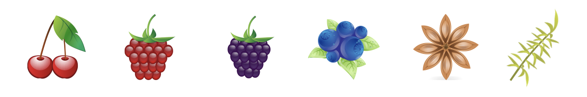 Vůně a chuť vína Quota 29 Primitivo z vinařství Menhir